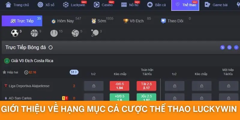 Giới thiệu về hạng mục cá cược thể thao Luckywin