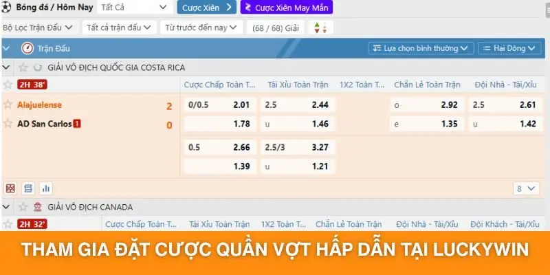 Tham gia đặt cược quần vợt hấp dẫn tại Luckywin